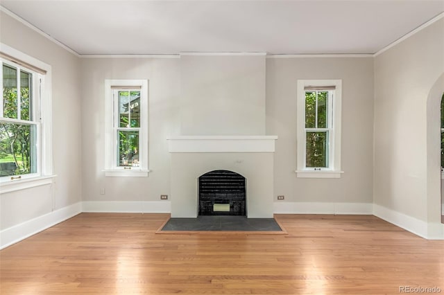 unfurnished living room with light hardwood / wood-style floors and ornamental molding