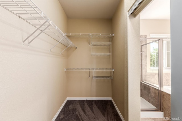 6190 S Oswego St, Englewood, CO 80111 - view of spacious closet
