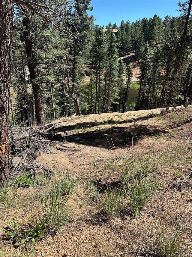67 Gerka Ln, Florissant, CO 80816 - photo 1