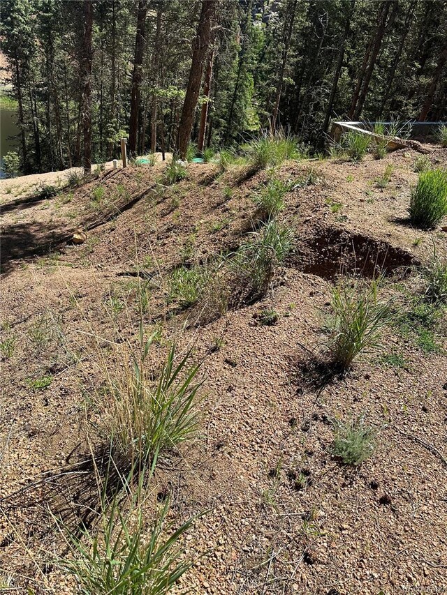 67 Gerka Ln, Florissant, CO 80816 - photo 2
