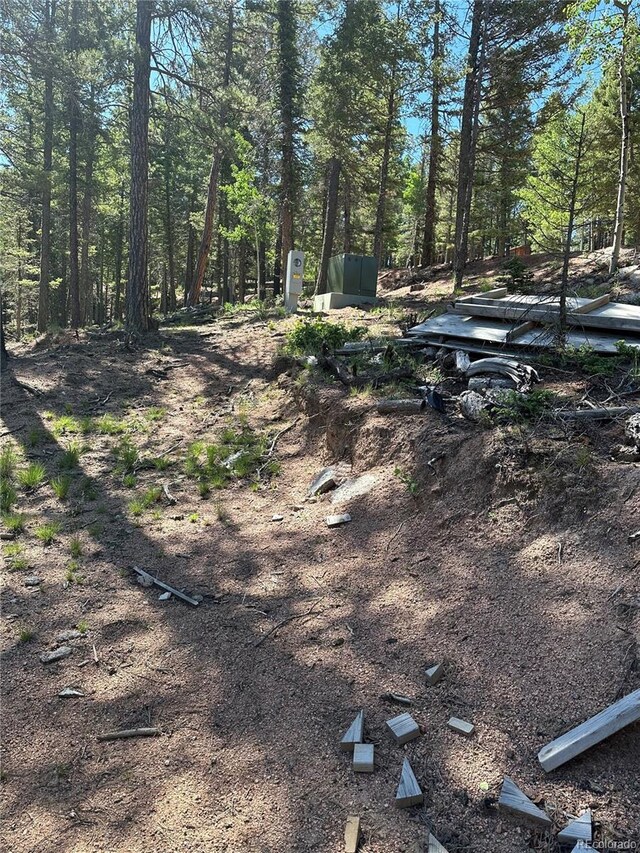 67 Gerka Ln, Florissant, CO 80816 - photo 3