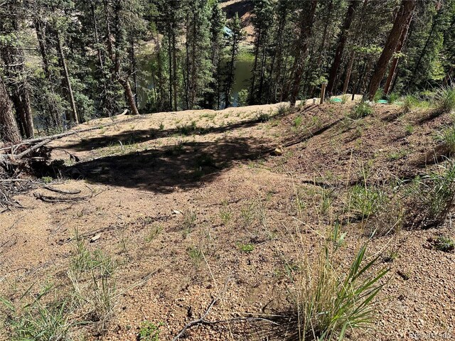 67 Gerka Ln, Florissant, CO 80816 - photo 7