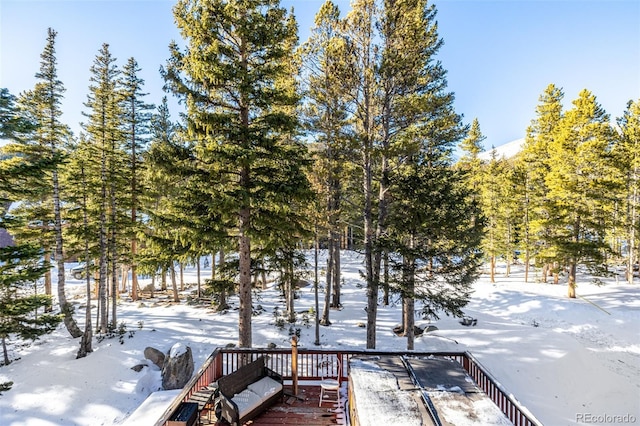 view of yard covered in snow