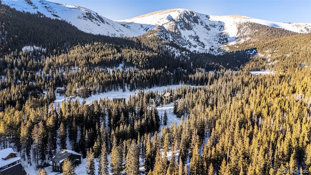 property view of mountains