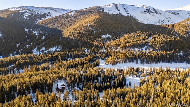 property view of mountains