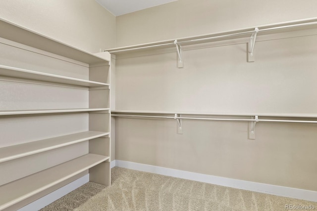 spacious closet with light colored carpet