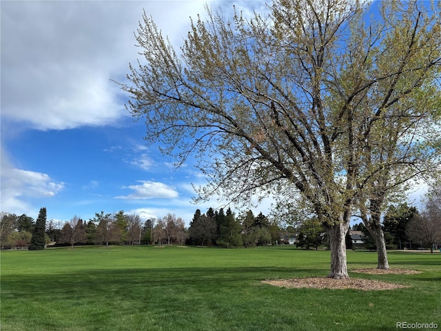 3765 S Depew St, Denver, CO 80235 - view of home's community with a lawn