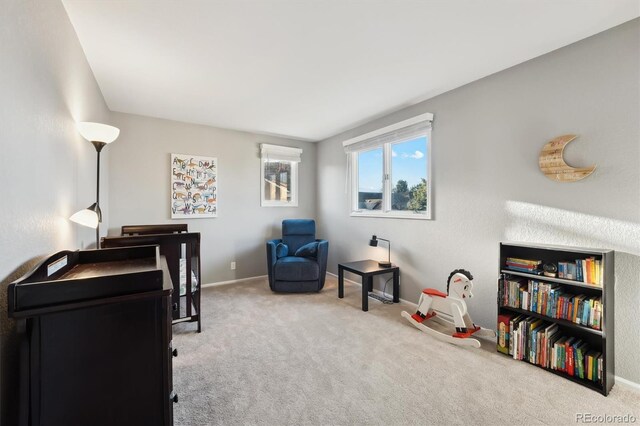 1998 S Harlan Ct, Lakewood, CO 80227 - living area with carpet and baseboards
