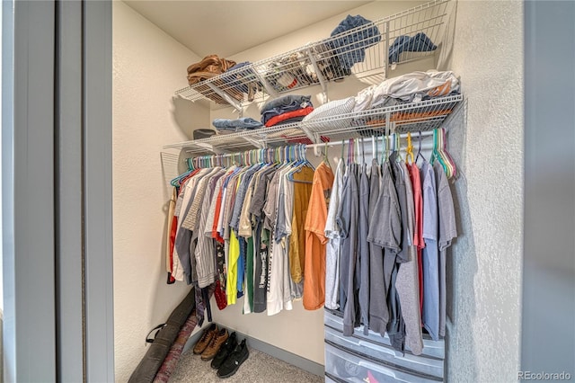 walk in closet featuring carpet flooring