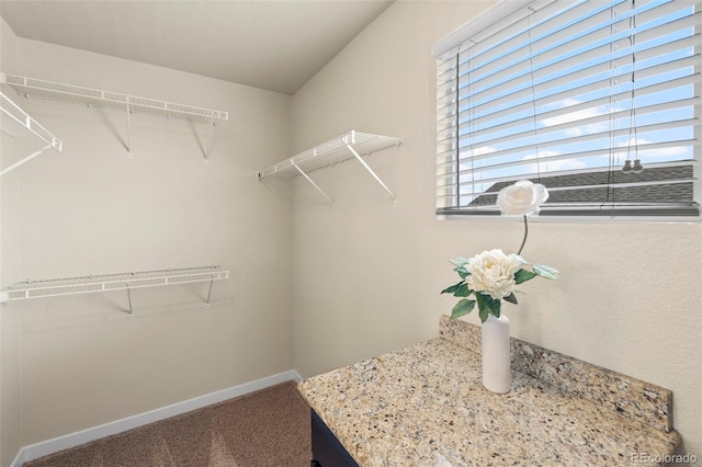 10414 Declaration Dr, Colorado Springs, CO 80925 - walk in closet featuring carpet