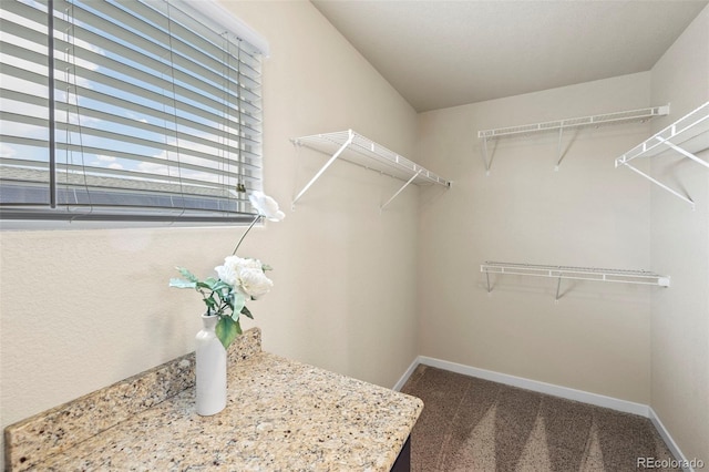 10414 Declaration Dr, Colorado Springs, CO 80925 - walk in closet featuring carpet flooring