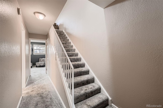 19636 Victorian Dr Unit B5, Parker, CO 80138 - photo 16
