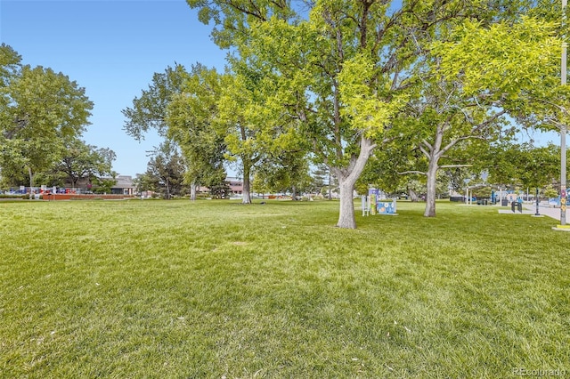 19636 Victorian Dr Unit B5, Parker, CO 80138 - photo 30