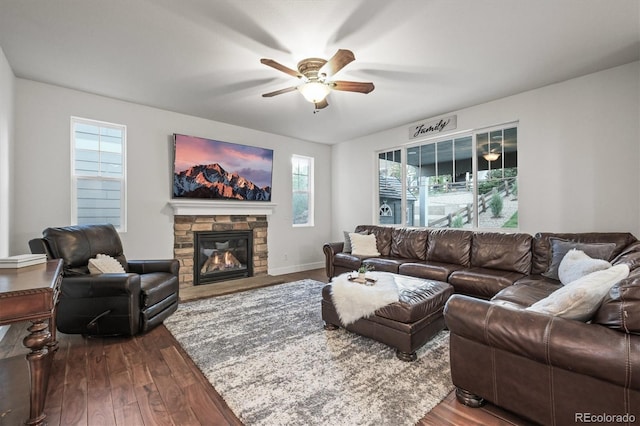 2198 Broadleaf Loop, Castle Rock, CO 80109 - living room featuring wood finished floors, ceiling fan, plenty of natural light, and a fireplace