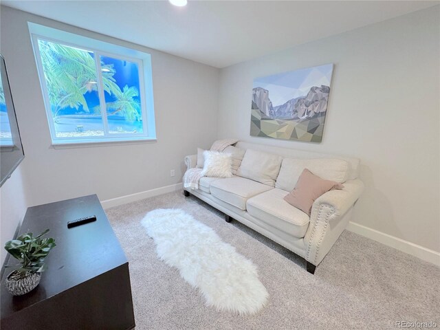 2198 Broadleaf Loop, Castle Rock, CO 80109 - living area featuring carpet flooring and baseboards