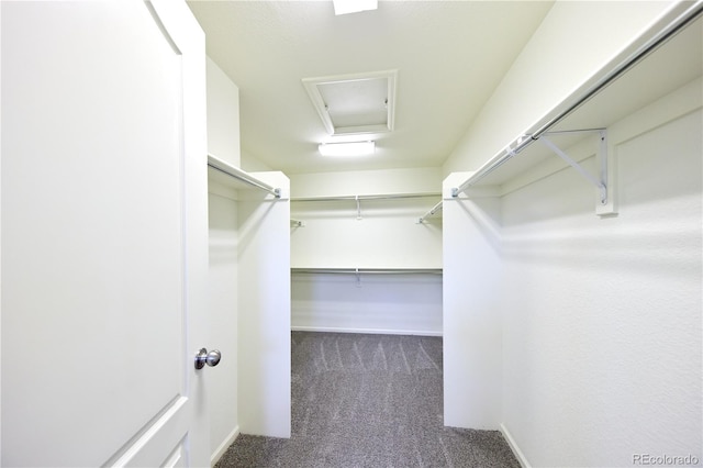 23593 E Chenango Pl, Aurora, CO 80016 - photo 19