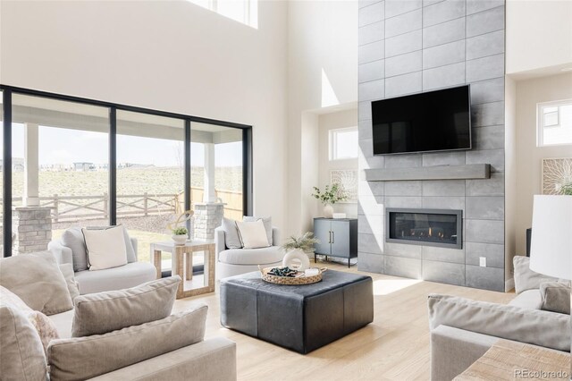 14247 Beebalm Loop, Parker, CO 80134 - photo 5