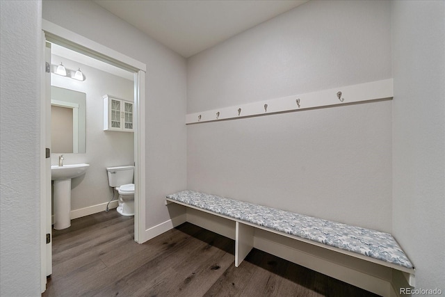 mudroom featuring dark hardwood / wood-style flooring