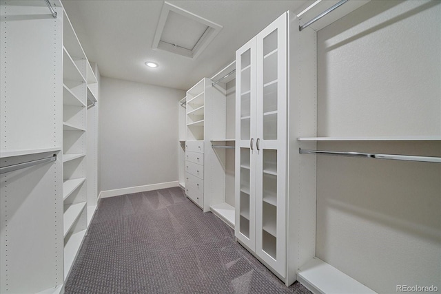 walk in closet featuring dark colored carpet