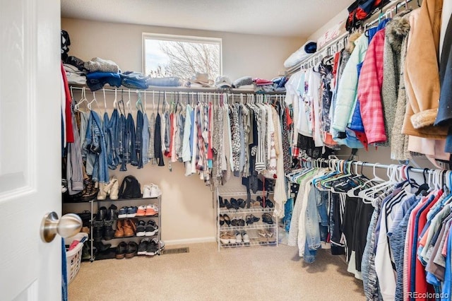 spacious closet featuring carpet floors