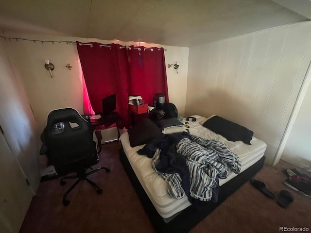 189 13th Ave, Cedaredge, CO 81413 - view of carpeted bedroom