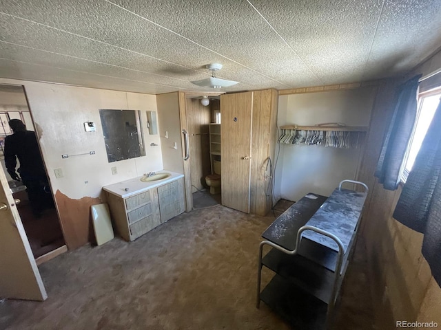 189 13th Ave, Cedaredge, CO 81413 - bathroom with electric panel and a sink