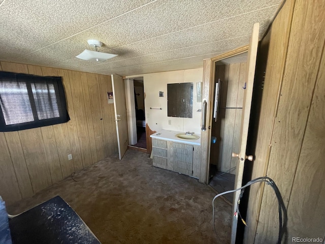 189 13th Ave, Cedaredge, CO 81413 - bathroom featuring vanity and wood walls