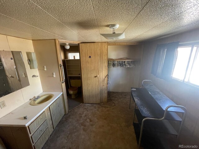 189 13th Ave, Cedaredge, CO 81413 - bathroom with a drop ceiling and vanity