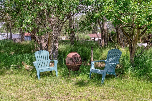 910 W Main St, Buena Vista, CO 81211 - view of yard