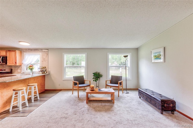 910 W Main St, Buena Vista, CO 81211 - living area featuring a textured ceiling and light colored carpet