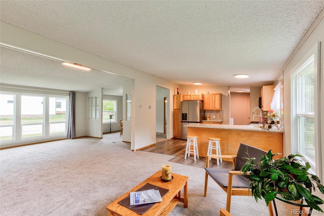 910 W Main St, Buena Vista, CO 81211 - living area with a textured ceiling and light carpet