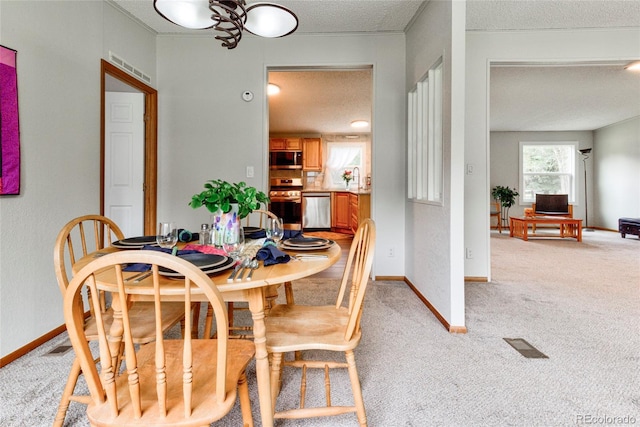 910 W Main St, Buena Vista, CO 81211 - dining room featuring a textured ceiling and light carpet