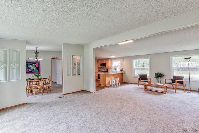 910 W Main St, Buena Vista, CO 81211 - sitting room with carpet floors and a textured ceiling