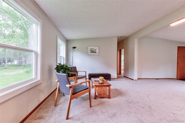 910 W Main St, Buena Vista, CO 81211 - living area with light carpet and a textured ceiling