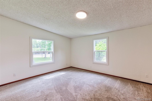 910 W Main St, Buena Vista, CO 81211 - carpeted empty room with plenty of natural light and a textured ceiling
