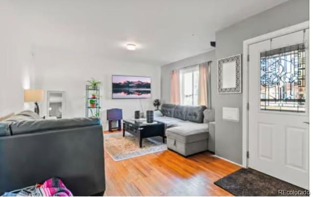 living room with wood finished floors