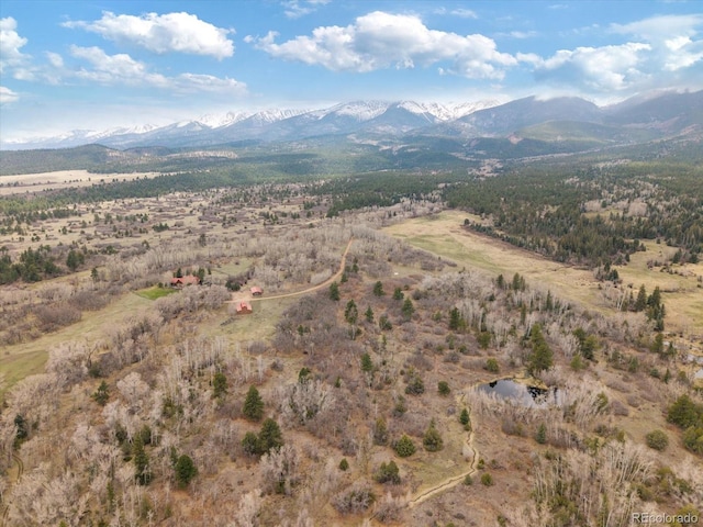 1423 County Road 192, Westcliffe, CO 81252 - photo 17