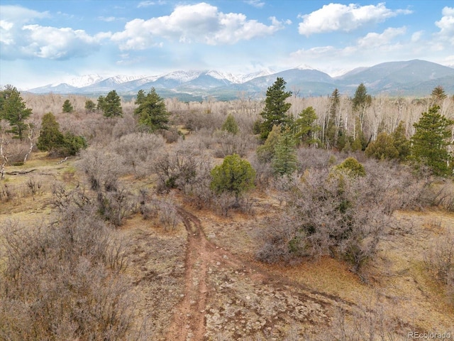 1423 County Road 192, Westcliffe, CO 81252 - photo 19