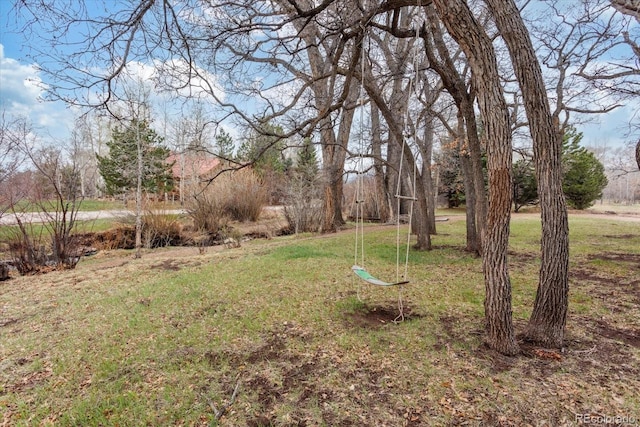1423 County Road 192, Westcliffe, CO 81252 - photo 21