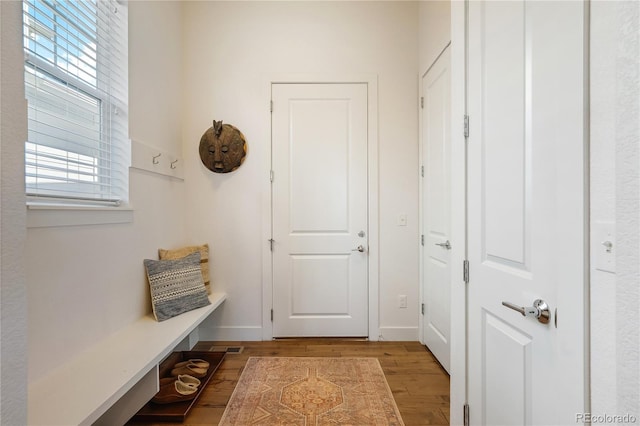 2027 Vallejo Loop, Broomfield, CO 80023 - mudroom featuring light wood-style floors, healthy amount of natural light, and baseboards