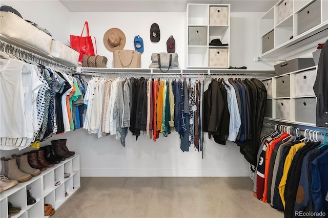 2027 Vallejo Loop, Broomfield, CO 80023 - view of walk in closet