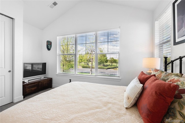 2027 Vallejo Loop, Broomfield, CO 80023 - carpeted bedroom with lofted ceiling, multiple windows, and baseboards