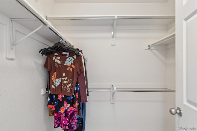 view of spacious closet