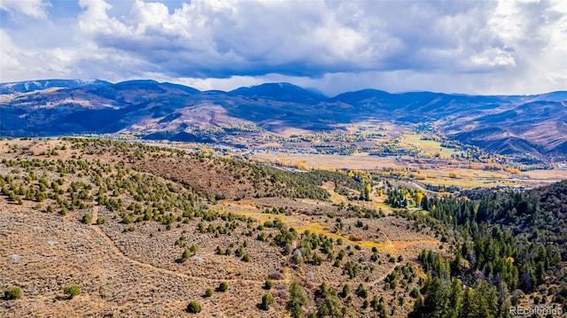 1281 Beard Creek Rd, Edwards, CO 81632
