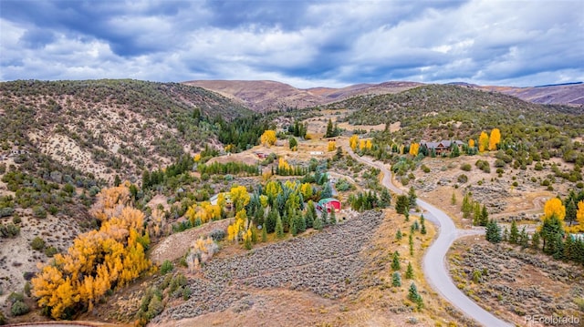 1281 Beard Creek Rd, Edwards, CO 81632