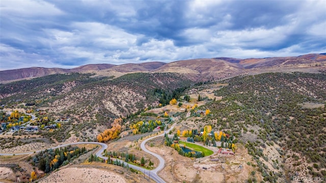 1281 Beard Creek Rd, Edwards, CO 81632