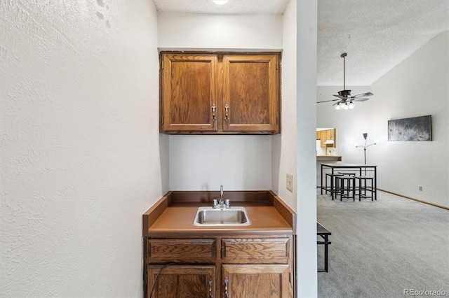 14333 E Warren Pl, Aurora, CO 80014 - indoor wet bar with carpet, a ceiling fan, a textured ceiling, baseboards, and vaulted ceiling