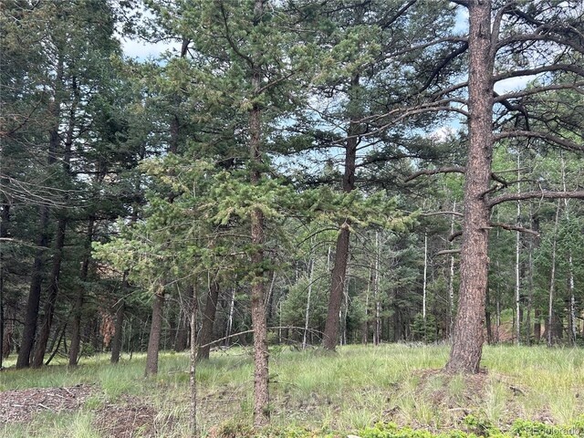 270 Southpark Rd, Florissant CO, 80816 land for sale