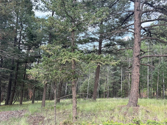 270 Southpark Rd, Florissant CO, 80816 land for sale