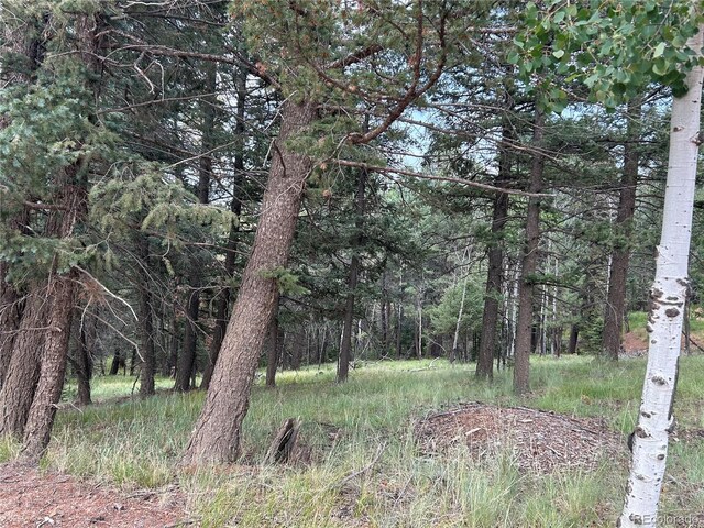 Listing photo 2 for 270 Southpark Rd, Florissant CO 80816